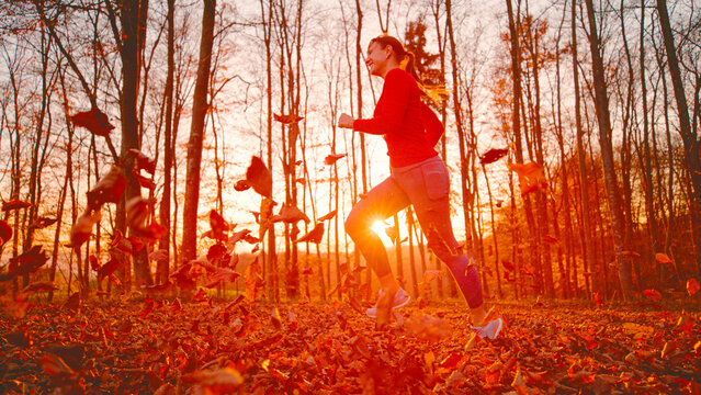 LENS FLARE: Cheerful young woman jogs through a colourful autumn forest while dry leaves swirl around her and warm low sunlight shines through bare trees. Outdoor exercise, movement and seasonal joy.