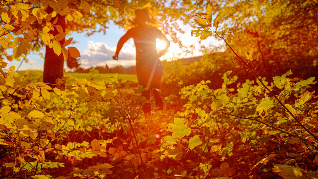 DOF, LENS FLARE: Golden autumn leaves fill the foreground while young woman runs through forest in golden sunlight. Outdoor recreation in the embrace of colorful nature on a sunny day in fall season.