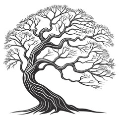 Fototapeta premium Detailed black and white vector illustration of a bare gnarled tree with intricate branches
