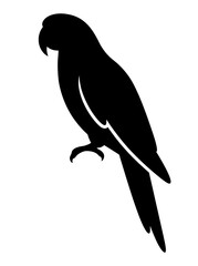 Fototapeta premium Red Tailed Hawk Bird of Prey Perched on a Branch Vector Illustration for Wildlife Nature Eagle Falcon and Feather Design