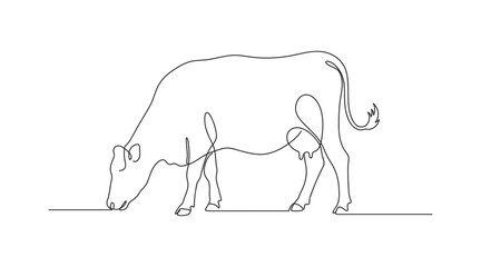 Continuous line drawing of a dairy cow grazing on grass vector graphic with line art, black and white © Stockxy