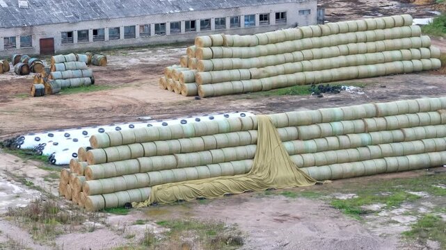 Large stacks of round hay bales stored on a farm field for livestock feed supply.