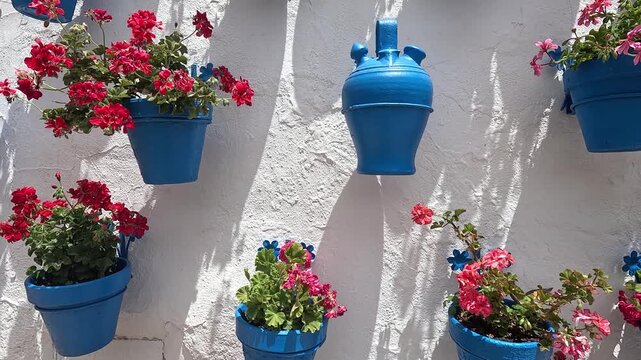 slide over Blue flowerpots of red and pink geraniums on a whitewashed wall, Patio de las Comedias, Iznajar, Cordoba, Andalucia, Spain