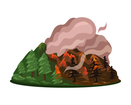 Forest Fire with Burning Trees and Rising Smoke Wildfire Vector Illustration