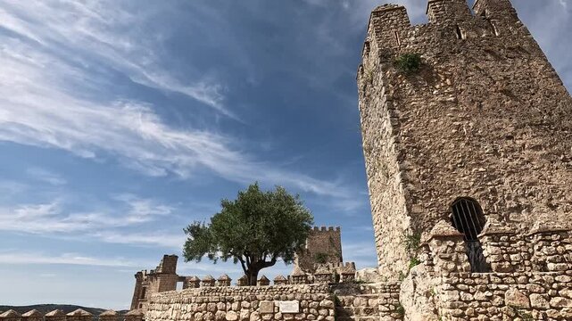 Olive tree beside the stone tower of Zuheros castle above the valley, Cordoba, Andalucia, Spain