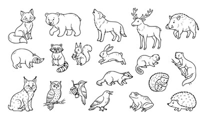 Naklejka premium Forest Animals Cartoon Hand Drawn Doodle Vector Illustration Set Isolated on White