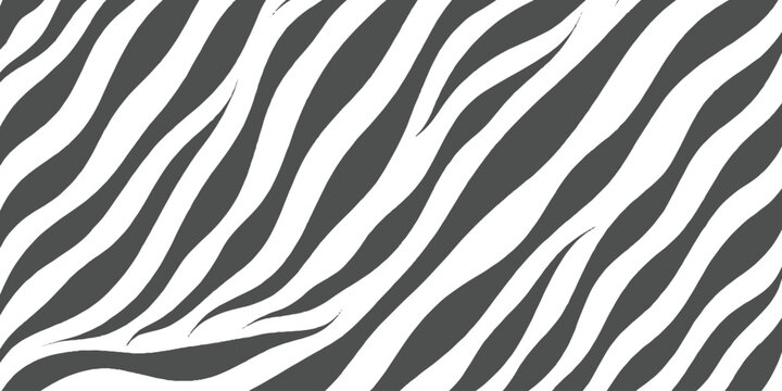 Abstract Black and White Zebra Stripe Pattern Background