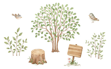 Obraz na płótnie Canvas Watercolor set of bushes, stump, wooden sign and cute birds. Colorful isolated collection for your perfect design childish room, wallpapers, cover or baby print, hand-drawn illustration.