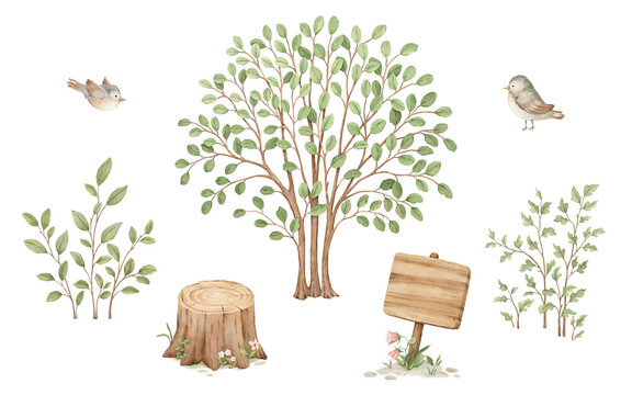 Watercolor set of bushes, stump, wooden sign and cute birds. Colorful isolated collection for your perfect design childish room, wallpapers, cover or baby print, hand-drawn illustration.