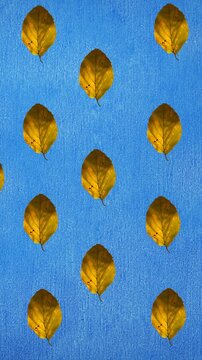 Animation of rows of autumn yellow leaves on blue background