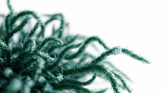 High-resolution close-up footage of twisted green rope texture ideal for creative overlays, product packaging, and artistic backgrounds in marketing and design projects