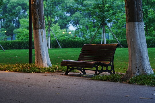 Empty wooden bench under trees in a quiet park during evening dusk