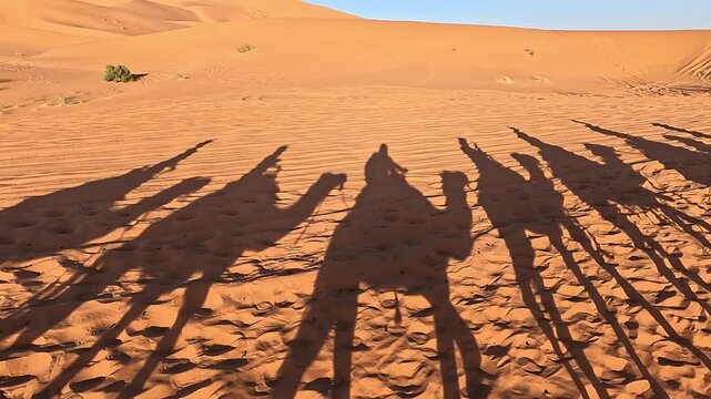 Shadows of a camel caravan across the sand, Erg Chebbi, Merzouga, Draa-Tafilalet, Morocco