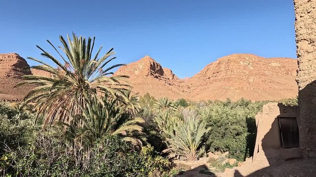 Palm oasis beneath rocky mountains in the Ziz Canyon, Draa-Tafilalet, Morocco
