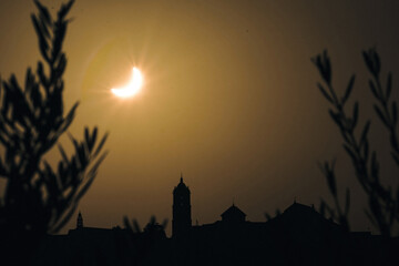 Partial solar eclipse creating a crescent of light in the sky above a dark city silhouette, framed by blurred plants during dusk © Manuel
