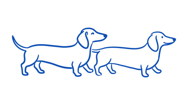 Two cute dachshund dogs standing side by side drawn in a simple blue and purple line art style illustration for design