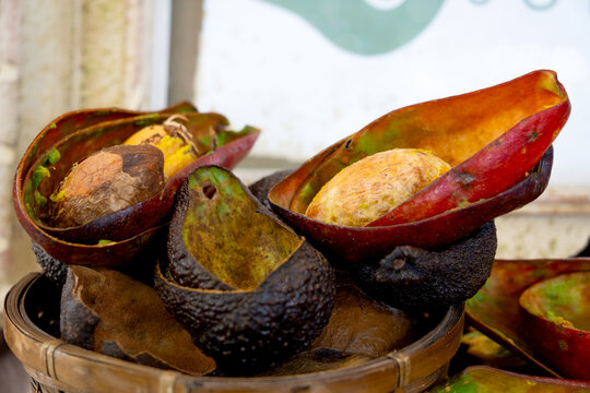 Discarded Avocado Peels Skins and Large Pits Seeds Collected in a Woven Basket for Food Composting