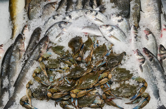 Fresh seafood displayed on ice at a market in the morning hours