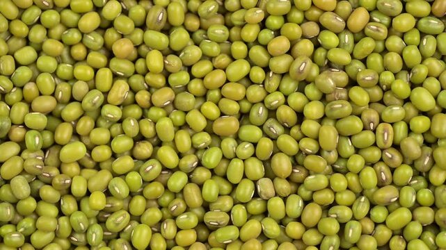 Mung bean or green gram close-up, top view, rotating 