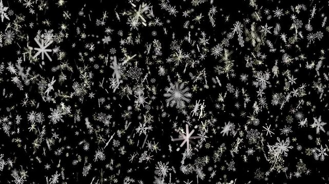 This digital effect creates an enchanting snowy atmosphere for holiday projects