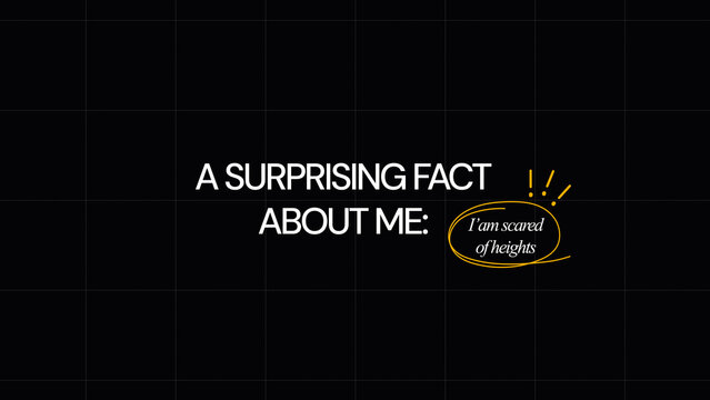 Highlight Titles 11