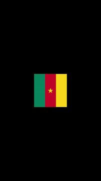 3D Rotating Cameroon Flag Cube Animation with Transparent Background