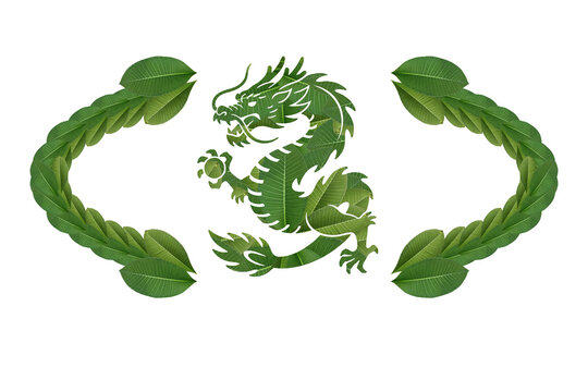 Green chinese dragon organic leaf border PNG transparent element