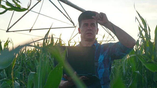Farmer uses tablet in corn field under irrigation pivot at sunset. Worker checks crop data with tablet. Farmer monitors irrigation technology. Corn field work at sunset with digital tablet.