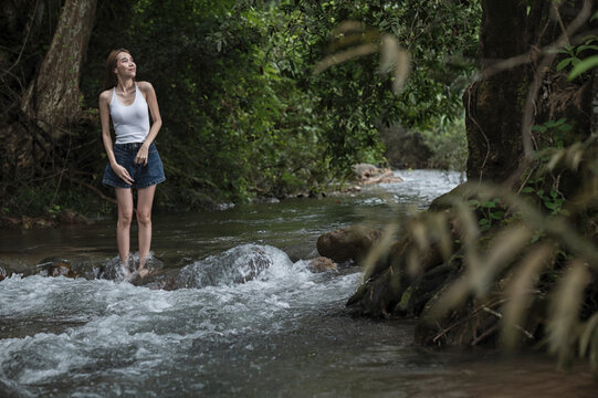 young woman in the forest , young woman in the forest.