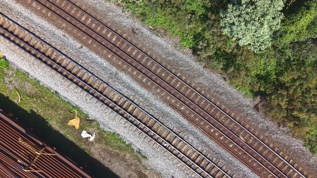 Aerial view of parallel railway tracks running through a lush green landscape in Brazil.