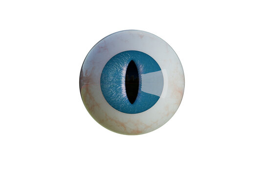 Realistic blue reptile eye close-up, glossy eyeball macro photo, eerie creature vision concept on white background