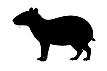 Fototapeta premium silhouette of a rhino