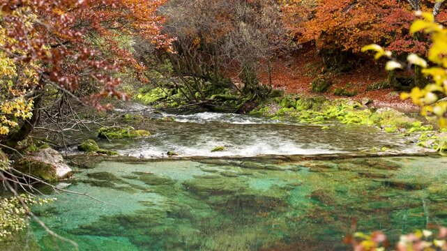 Oko Skakavice, the Blue Eye of Montenegro surrounded by colorful foliage in red, yellow and orange in autumn