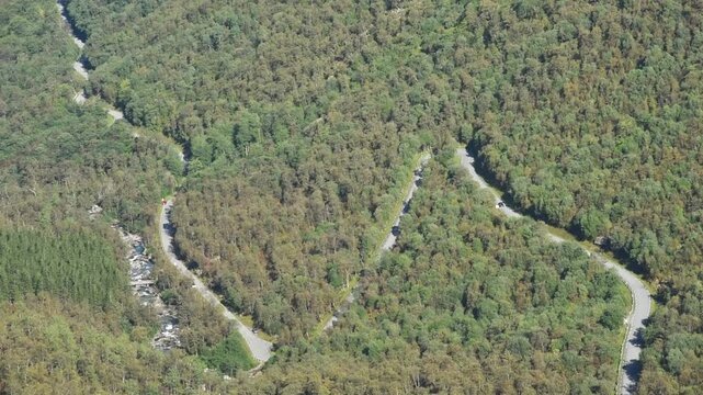 Aerial view of the forested valley floor and river below Trollstigen, Route 63, More og Romsdal, Norway