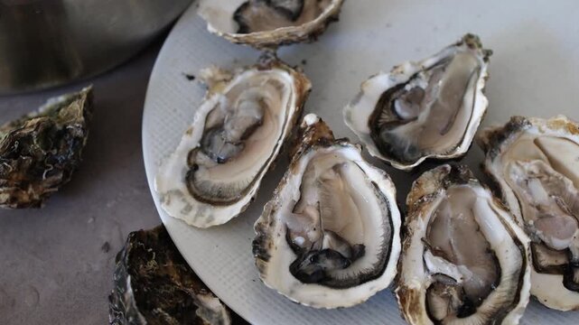 Man opens oysters and puts them on a white plate. Opening fresh shellfish safely and serving them immediately. Shallow depth of field.