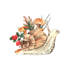An autumn watercolor illustration with forest plants and animals. A composition of a snail with plants, leaves, and red berries. Hand-drawn. A template for autumn design. © Ulyana
