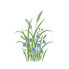 Fototapeta premium Blue flax flowers with green grass stems on a white background, isolated on a, transparent background