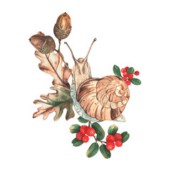 An autumn watercolor illustration featuring forest plants and animals. A composition of a sweet smile on oak leaves, surrounded by red cranberries and acorns. Hand-drawn. A template for autumn design. © Ulyana