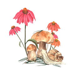 An autumn watercolor illustration with forest plants and animals. The composition features brown mushrooms, flowers, a snail, and pine needles. Hand-drawn. A template for autumn design. © Ulyana
