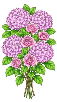 Hydrangea and rose bouquet transforming from line art to color