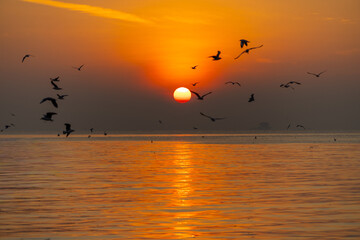 Fototapeta premium Beautiful golden sunrise over the calm sea with flying seagulls silhouetted against the bright sun and a wooden pier.