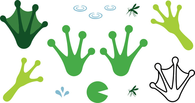 Frog footprint and webbed feet track vector illustration set with pond lily pads mosquitoes and water ripples for swamp wildlife education graphics