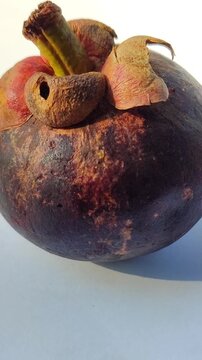 Fresh mangosteen fruits (Garcinia mangostana) with deep purple skin and green calyxes, showcasing a distinctive tropical fruit known for its sweet and juicy white flesh.