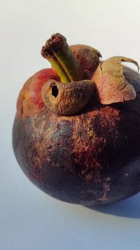 Fresh mangosteen fruits (Garcinia mangostana) with deep purple skin and green calyxes, showcasing a distinctive tropical fruit known for its sweet and juicy white flesh.
