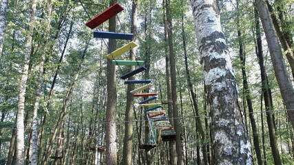 Parco avventura nel bosco