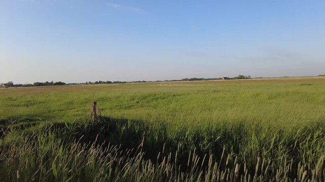 Panoramic view of the natural coastal landscape on the Nordstrand Peninsula in Schleswig-Holstein, northern Germany.
