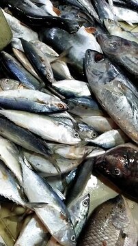 Various kinds of fish in traditional market