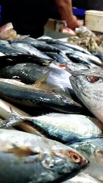 Various kinds of fish in traditional market