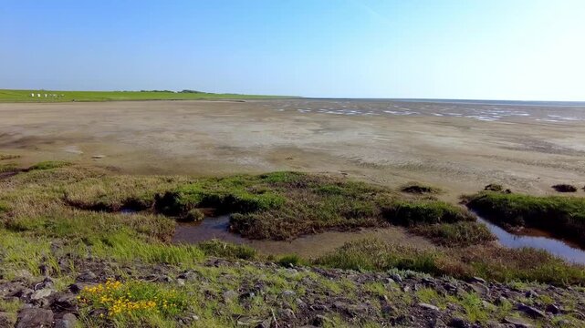 Panoramic view of the natural coastal landscape at the Fuhlehoern on the Nordstrand Peninsula in Schleswig-Holstein, northern Germany.