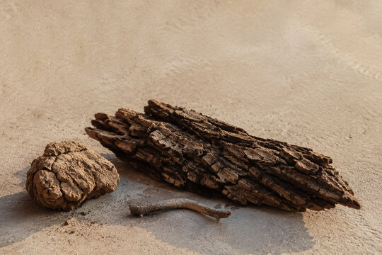Gnarled tree bark with dry earth clod and bent twig, organic resilience and raw nature concept